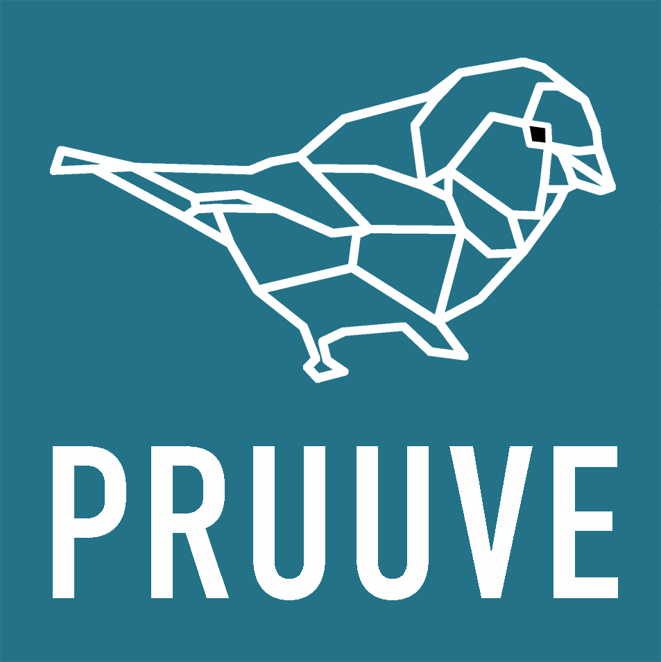 PRUUVE projekt logo